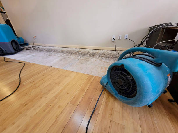 Professional Water Extraction technician working in Milford, NJ